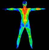 full body thermal image
