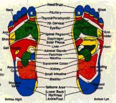Reflexology Chart